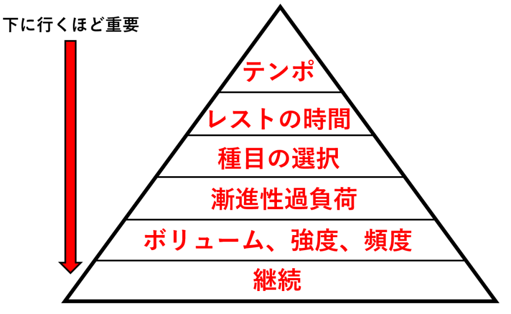 筋トレで重要な要素